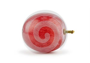 Close-up of a Single Red Grape Isolated on White