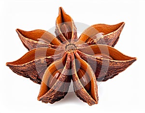 Close Up of a Single Star Anise Spice on White Background for Culinary