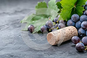 A close-up of a single wine cork, surrounded by scattered grape leaves photo