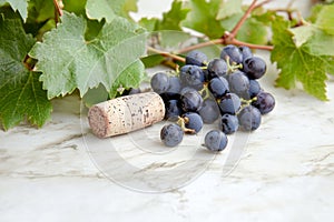 A close-up of a single wine cork, surrounded by scattered grape leaves photo