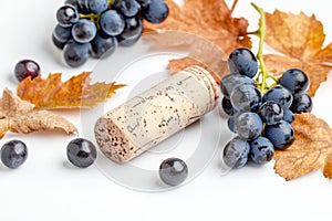A close-up of a single wine cork, surrounded by scattered grape leaves photo