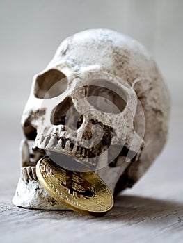 Close up of Skull biting Golden bitcoin on wooden table. The concept of investment and Fluctuation of bitcoin and cryptocurrency.