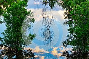 Close up of sky, cloud and tree reflections in 2019 Missouri River flooding of Tom Hanafan River`s Edge Park
