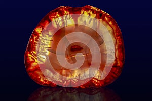 Close up of a Slice Agate Gemstone on dark background