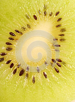 Close up of a slice of kiwi