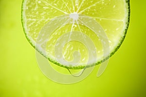 Close-up of a slice of lime, a drop of water falls. The fruit gi