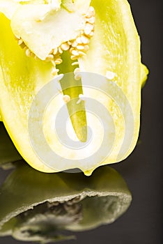 Close up of sliced capsicum