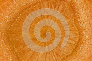 Close-up of a sliced carrot