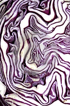Close up of a sliced red cabbage pattern abstract background