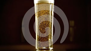 Close-up slow-motion Cold Light Beer in a tall glass with water drops on bar background. Craft Beer close up. Microbrewery