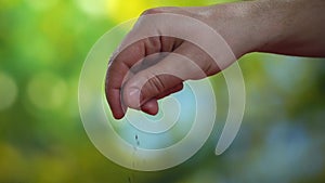 Close-up slow motion video of men`s hand with spices on the kitchen