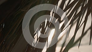 Close-up slow motion view of straw hut waving in the wind. Soft sun glow through dry leaves of tropical bungalow on