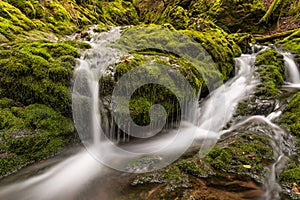 Close-up of small creek in the park (Slow shutter speed)