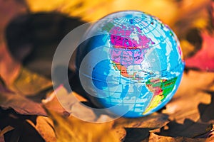 Close up of a small globe lies on colorful autumn maple leaves in the autumn forest. Concept. Selective focus.