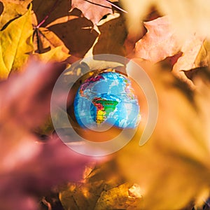 Close up of a small globe lies on colorful autumn maple leaves in the autumn forest. Concept. Selective focus.