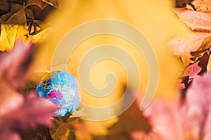 Close up of a small globe lies on colorful autumn maple leaves in the autumn forest. Concept. Selective focus. Australia. indian s