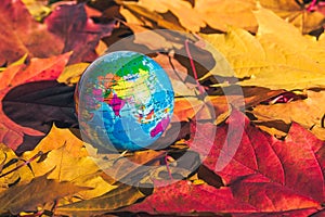 Close up of a small globe lies on colorful autumn maple leaves in the autumn forest. Concept. Selective focus. Russia, Europe