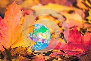 Close up of a small globe lies on colorful autumn maple leaves in the autumn forest. Concept. Selective focus. Russia, Europe