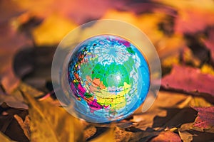 Close up of a small globe lies on colorful autumn maple leaves in the autumn forest. Concept. Selective focus. Russia, Europe