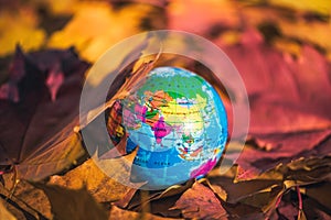 Close up of a small globe lies on colorful autumn maple leaves in the autumn forest. Concept. Selective focus. Russia, Europe