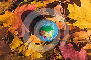 Close up of a small globe lies on colorful autumn maple leaves in the autumn forest. Concept. Selective focus. Russia, Europe