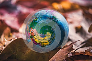 Close up of a small globe lies on colorful autumn maple leaves in the autumn forest. Concept. Selective focus. Russia, Europe