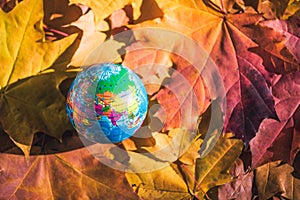 Close up of a small globe lies on colorful autumn maple leaves in the autumn forest. Concept. Selective focus. Russia, Europe