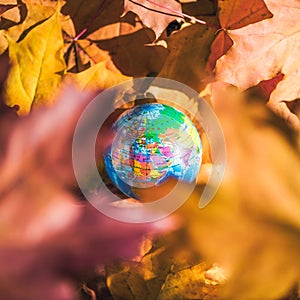 Close up of a small globe lies on colorful autumn maple leaves in the autumn forest. Concept. Selective focus. Russia, Europe,
