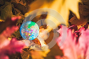 Close up of a small globe lies on colorful autumn maple leaves in the autumn forest. Concept. Selective focus. Russia, Europe,