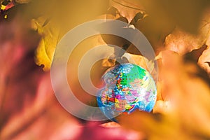 Close up of a small globe lies on colorful autumn maple leaves in the autumn forest. Concept. Selective focus. Russia, Europe Asia