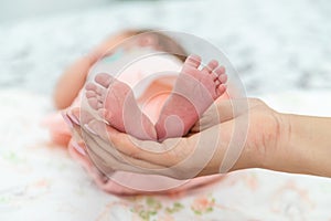 Close-up of the small legs of a newborn baby in the hands of a woman or mother. Moments with a child