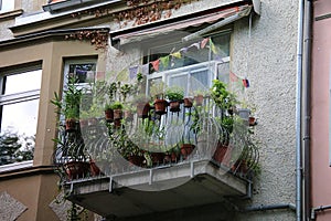 a Close-up of a small old balcony planted with green plants
