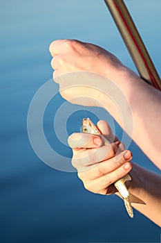 Close-up small redeye fish in man hand against blue pond water. Fisherman taking out hook. Newcomer fishing background. Copysp photo