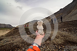 Close up small snowman in hand concept photo