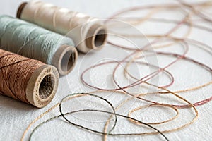 Close-up of small sewing threads