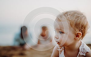 A close-up of small toddler girl on beach on summer holiday, playing.