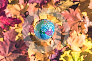 Close up of a small toy globe Earth rotation over colorful autumn maple leaves in the forest. Concept. Selective focus.