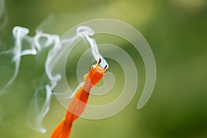 close up of smoking swirl candle in forest