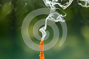 close up of smoking swirl candle in forest