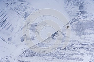 Close-up of a snowy mountain. Northern landscape texture. Norway, Svalbard.