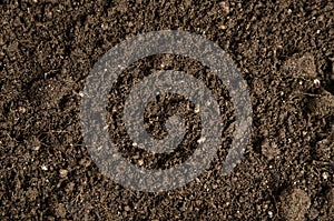 Close-up of a soil