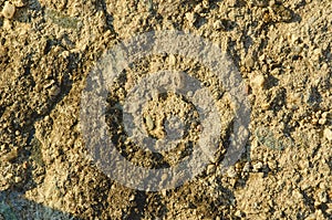 Close up of soil - can be used as background. Soil plain texture background.