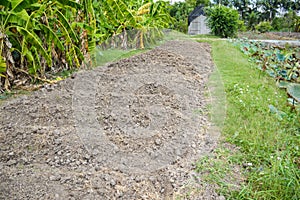 Soil preparation for sowing vegetable in field agricultur photo