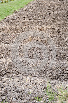 Soil preparation for sowing vegetable in field agricultur photo