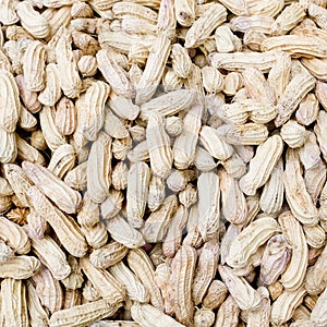 Close-up of some peanuts. background