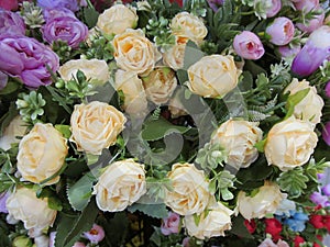 Close up on some white fake artificial rose flowers on display