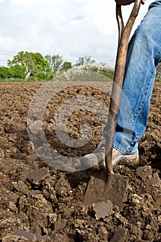 Close up of someone digging