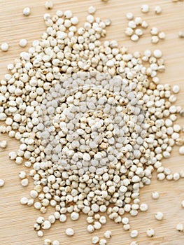 Close up of sorghum grains
