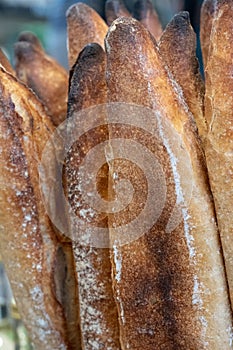 Close up of sour dough bread baguette loaves, photographed at The Newt near Bruton in Somerset, UK.