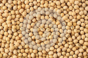 Close up soybeans background top view using for your advertising